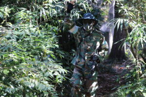 11月16日　日曜定例会2