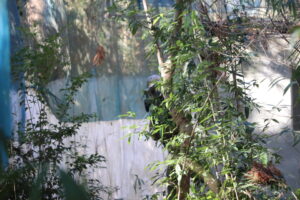 2025月12月28日　日曜定例会5