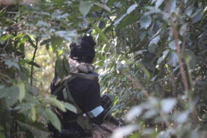 1月12日　月曜定例会1