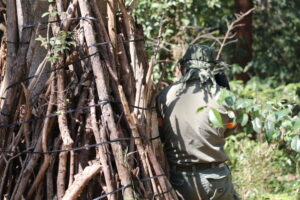 3月15日　日曜定例会2